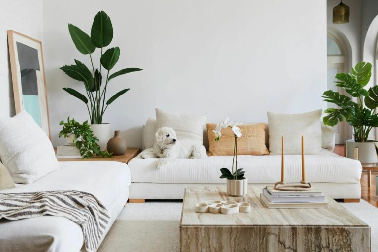 Plantas decorada sala de estar, com paredes e sofá branco.